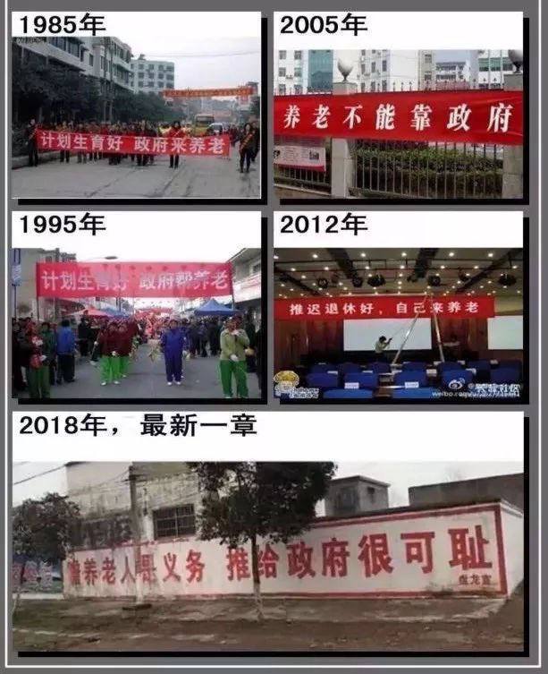 原动态配图 1